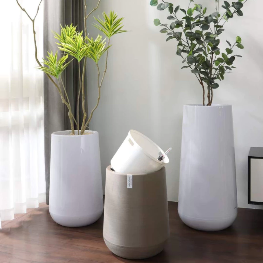 Chậu nhựa lớn trồng cây lý tưởng để tạo không gian xanh rộng rãi, giúp cây phát triển mạnh mẽ và khỏe mạnh Chậu nhựa lớn trồng cây lý tưởng để tạo không gian xanh rộng rãi, giúp cây phát triển mạnh mẽ và khỏe mạnh