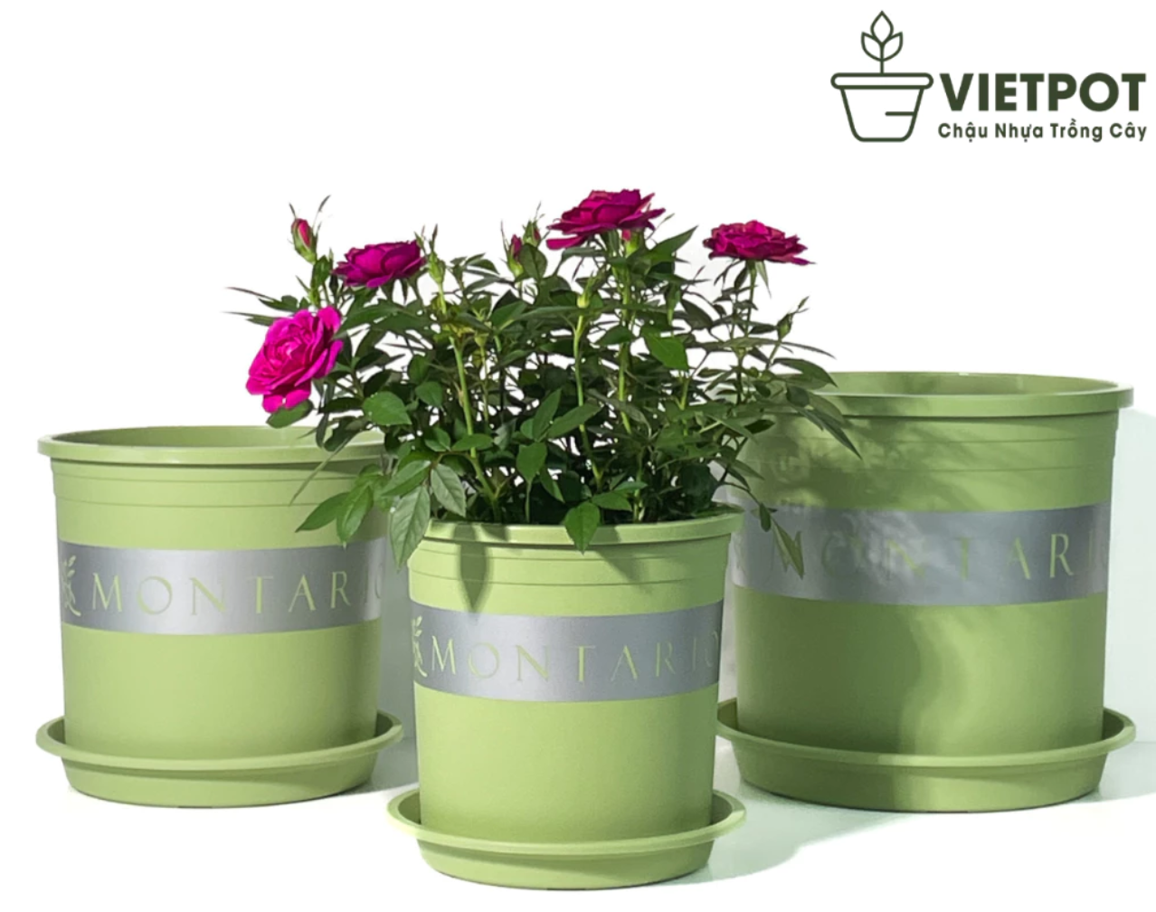 Chậu nhựa trồng cây cảnh VIETPOT mang lại không gian xanh mát, trang trí hoàn hảo cho ngôi nhà và sân vườn của bạn. Chậu nhựa trồng cây cảnh VIETPOT mang lại không gian xanh mát, trang trí hoàn hảo cho ngôi nhà và sân vườn của bạn.