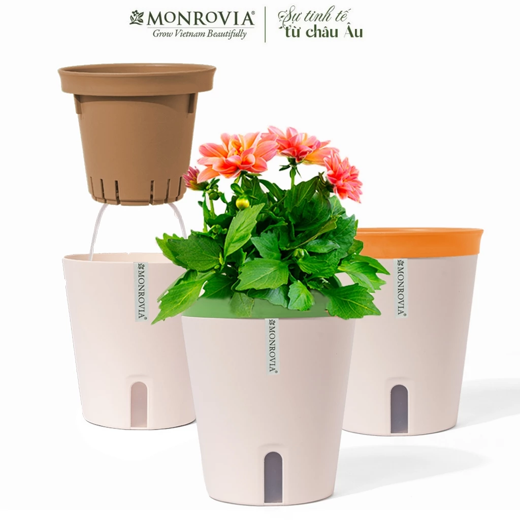 chậu cây composite nhỏ trang trí phòng khách, bàn làm việc cũng rất sang trọng chậu cây composite nhỏ trang trí phòng khách, bàn làm việc cũng rất sang trọng