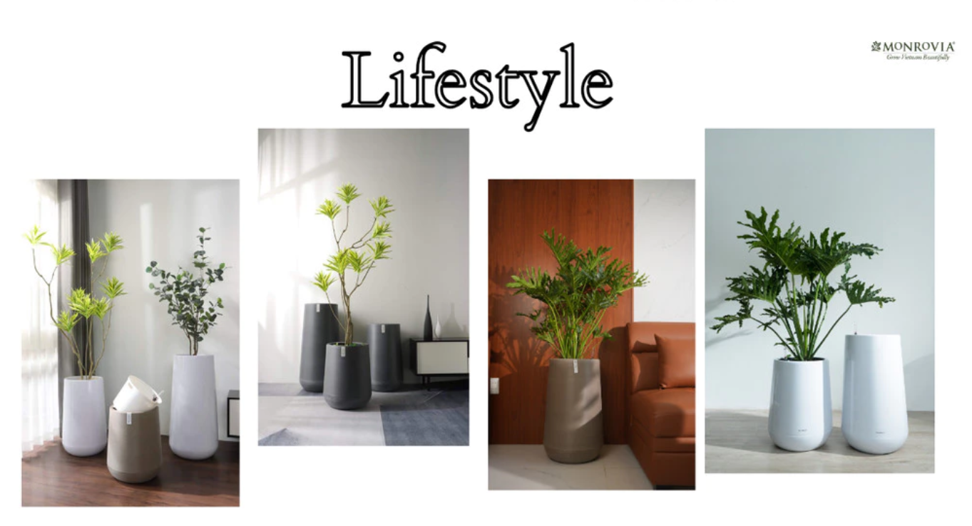 chậu nhựa trồng cây monrovia chậu nhựa trồng cây monrovia