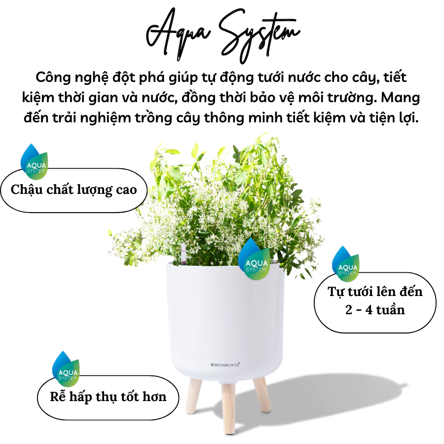 Biến bàn làm việc vườn xinh nhờ các chậu nhựa trồng cây Biến bàn làm việc vườn xinh nhờ các chậu nhựa trồng cây
