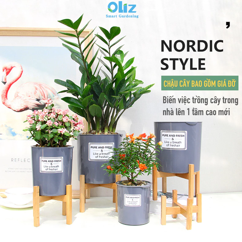 Nhẹ nhàng, bền bỉ, lại còn cực kỳ trendy! Rinh ngay một em chậu nhựa trồng cây về thôi nào! Nhẹ nhàng, bền bỉ, lại còn cực kỳ trendy! Rinh ngay một em chậu nhựa trồng cây về thôi nào!