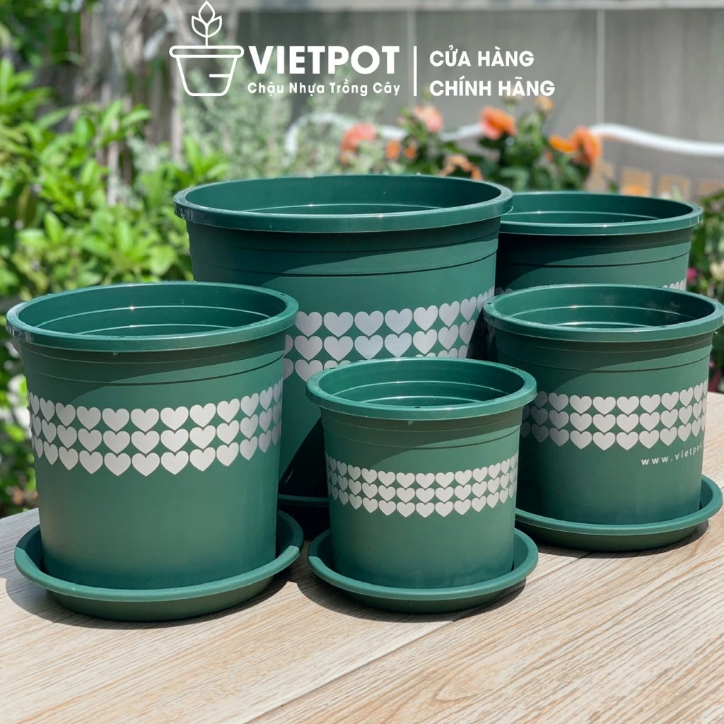 Khoe sắc rực rỡ cho ban công nhà bạn với những mẫu chậu nhựa trồng hoa xinh xắn này! Khoe sắc rực rỡ cho ban công nhà bạn với những mẫu chậu nhựa trồng hoa xinh xắn này!