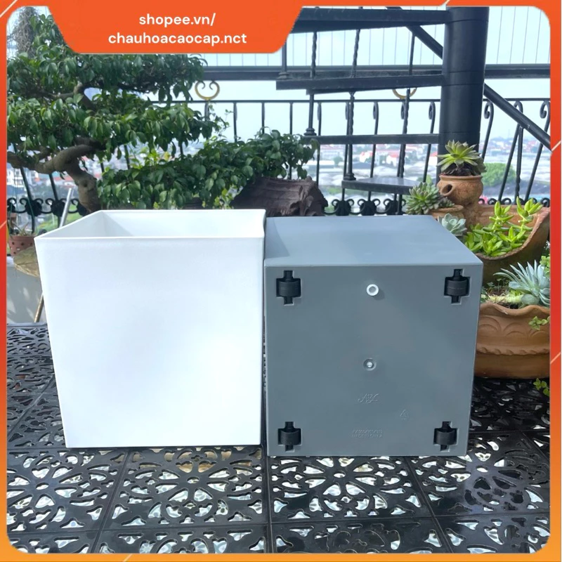 Chậu nhựa vuông trồng cây có bánh xe – di chuyển cây cảnh chưa bao giờ dễ dàng đến thế. Chậu nhựa vuông trồng cây có bánh xe – di chuyển cây cảnh chưa bao giờ dễ dàng đến thế.