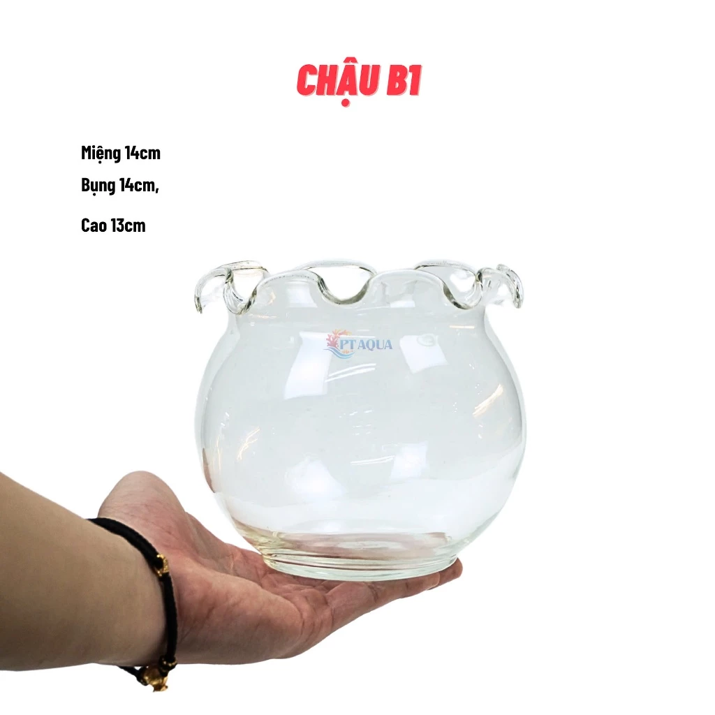 Chậu hoa thủy tinh đẹp miệng tai bèo uốn lượn là điểm nhấn hoàn hảo cho những ai yêu thích phong cách tối giản mà tinh tế. Chậu hoa thủy tinh đẹp miệng tai bèo uốn lượn là điểm nhấn hoàn hảo cho những ai yêu thích phong cách tối giản mà tinh tế.