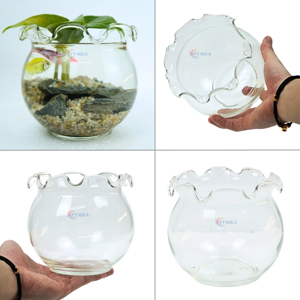 Một chậu hoa thủy tinh đẹp kết hợp sỏi màu và cá cảnh nhỏ đủ tạo nên “thiên nhiên thu nhỏ” ngay tại bàn làm việc. Một chậu hoa thủy tinh đẹp kết hợp sỏi màu và cá cảnh nhỏ đủ tạo nên “thiên nhiên thu nhỏ” ngay tại bàn làm việc.