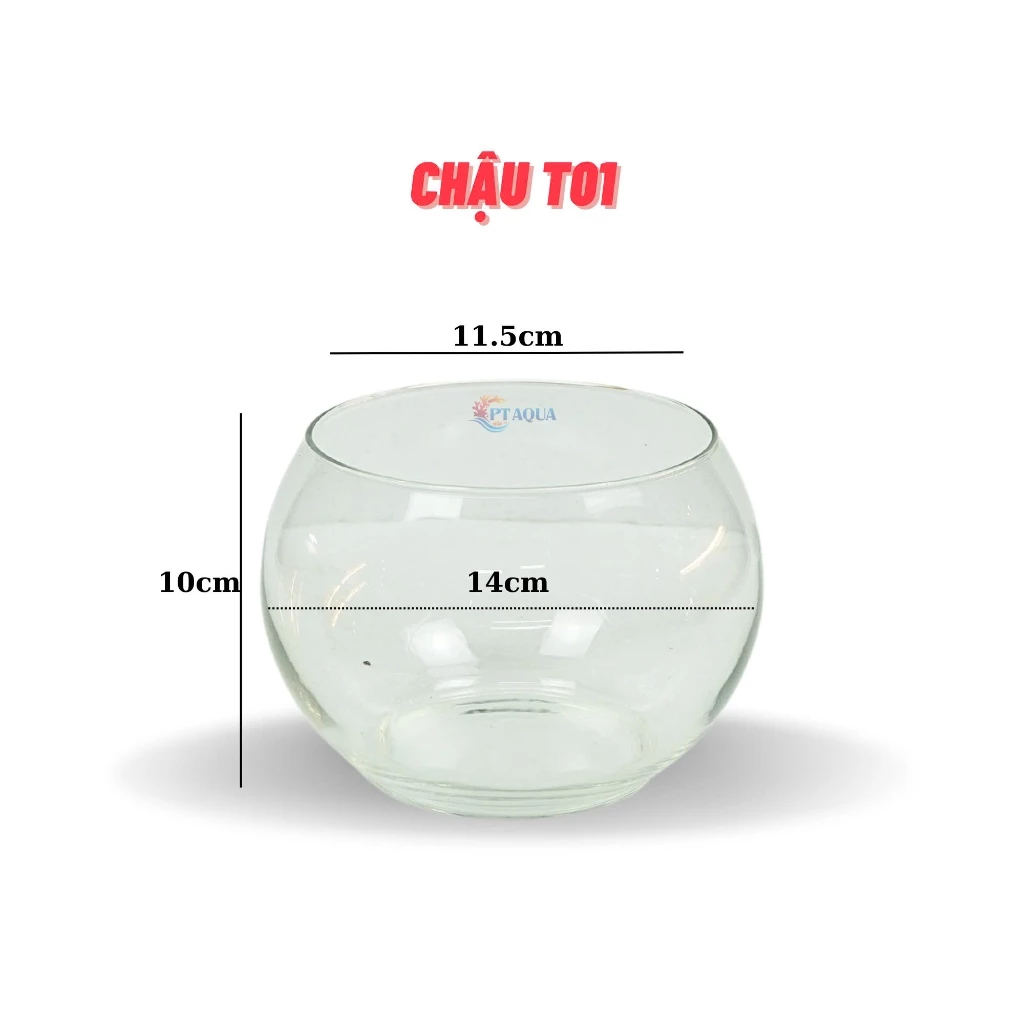 Decor phòng khách với chậu hoa thủy tinh đẹp dáng tròn bầu giúp không gian thêm sang trọng và thư giãn. Decor phòng khách với chậu hoa thủy tinh đẹp dáng tròn bầu giúp không gian thêm sang trọng và thư giãn.