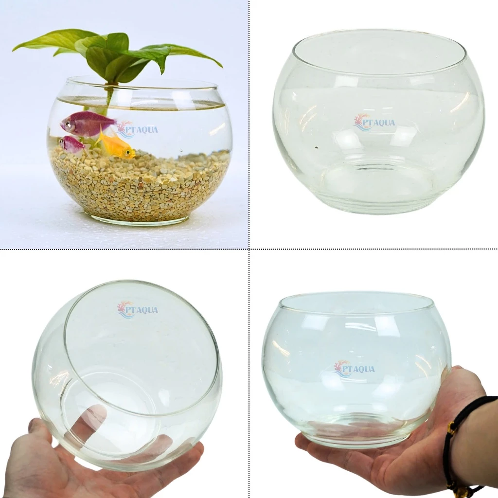 Góc bàn làm việc trở nên sinh động hơn với chậu hoa thủy tinh đẹp nuôi cá và trồng cây thủy sinh mini. Góc bàn làm việc trở nên sinh động hơn với chậu hoa thủy tinh đẹp nuôi cá và trồng cây thủy sinh mini.