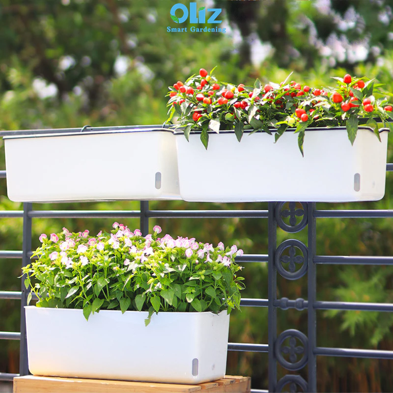 Xu hướng mua chậu trồng cây thông minh có móc treo ban công tự tưới ngày càng tăng Xu hướng mua chậu trồng cây thông minh có móc treo ban công tự tưới ngày càng tăng