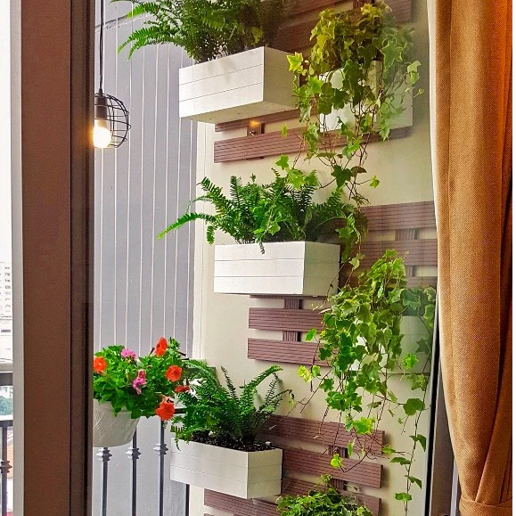 Chậu treo ban công - điểm nhấn xanh cho không gian sống hiện đại. Chậu treo ban công - điểm nhấn xanh cho không gian sống hiện đại.