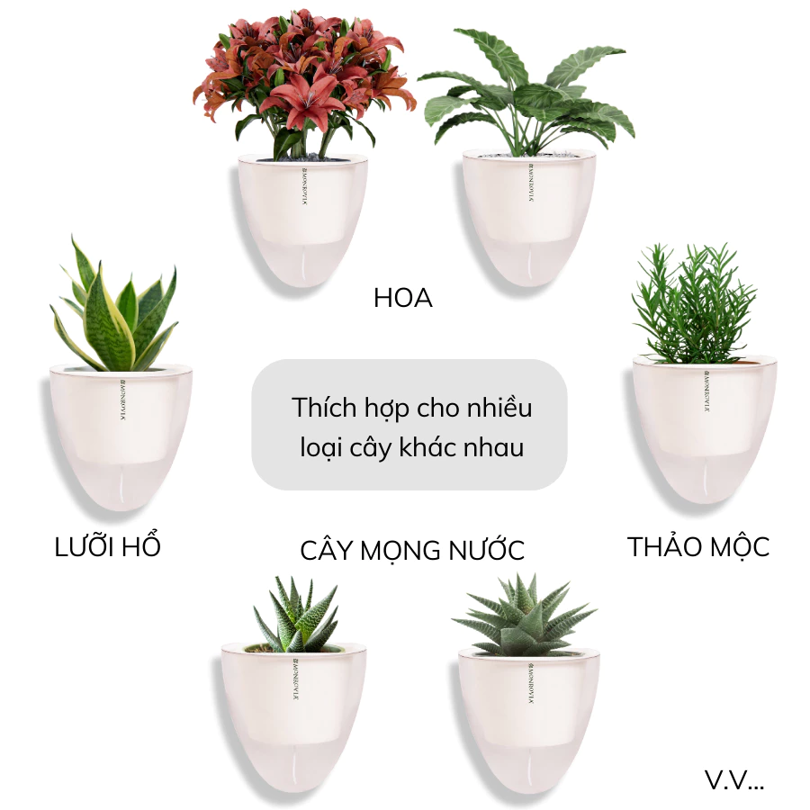 Mang thiên nhiên vào ban công nhà bạn với chậu trồng cây ban công đẹp mắt và tiện lợi. Mang thiên nhiên vào ban công nhà bạn với chậu trồng cây ban công đẹp mắt và tiện lợi.