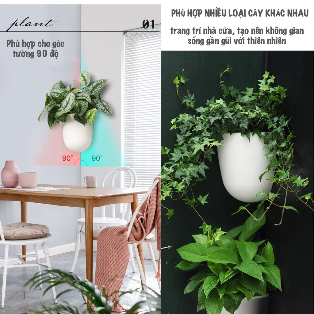 Biến không gian sống của bạn trở nên tươi mới và ấn tượng với những mẫu chậu cảnh đẹp, mang đến vẻ đẹp tự nhiên cho ngôi nhà! Biến không gian sống của bạn trở nên tươi mới và ấn tượng với những mẫu chậu cảnh đẹp, mang đến vẻ đẹp tự nhiên cho ngôi nhà!