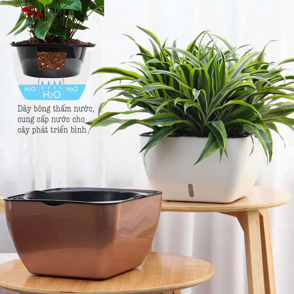 Chậu trồng cây thông minh tích hợp hệ thống tự tưới, giúp cây luôn được cung cấp đủ nước mà không cần chăm sóc thường xuyên. Chậu trồng cây thông minh tích hợp hệ thống tự tưới, giúp cây luôn được cung cấp đủ nước mà không cần chăm sóc thường xuyên.