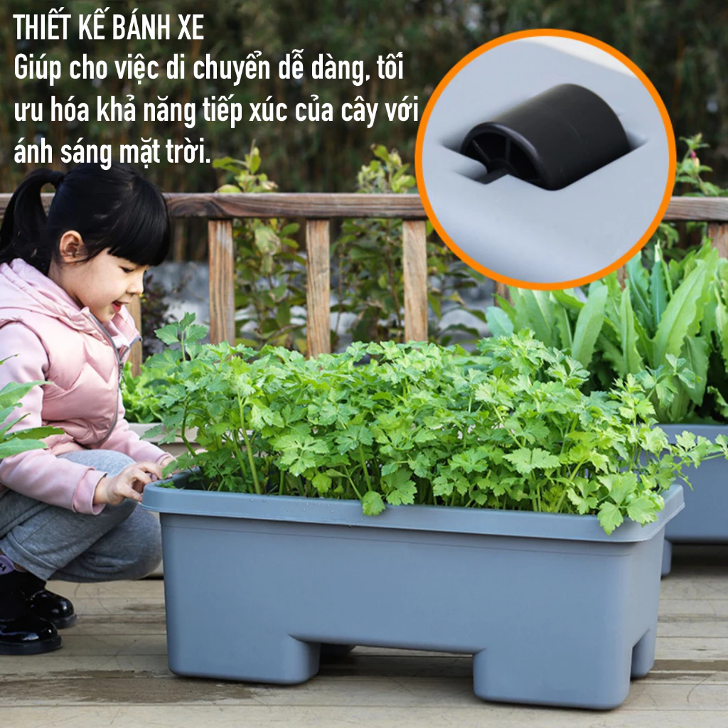 chậu trồng rau sân thượng giúp trồng rau một cách nhàn nhã và hiệu quả chậu trồng rau sân thượng giúp trồng rau một cách nhàn nhã và hiệu quả