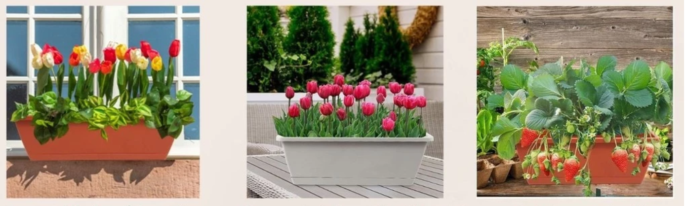 Chậu ban công Monrovia – Biến không gian ngoài trời thành khu vườn xanh tươi và đầy sức sống. Chậu ban công Monrovia – Biến không gian ngoài trời thành khu vườn xanh tươi và đầy sức sống.