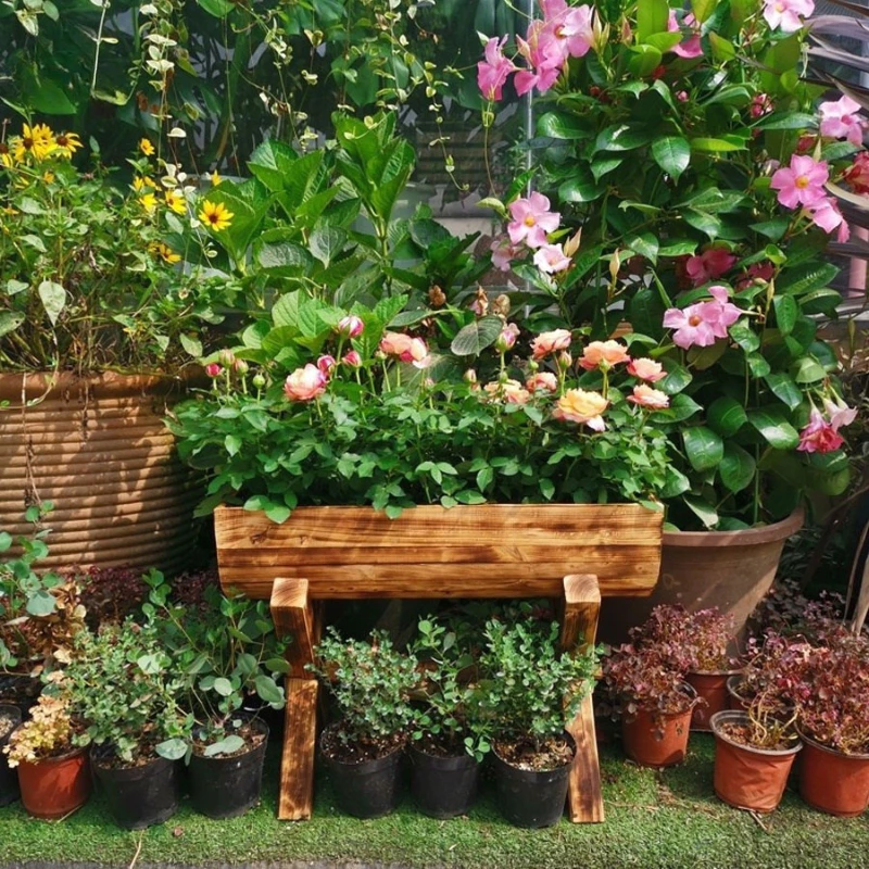 Tôn vinh vẻ đẹp của cây với chất liệu gỗ tự nhiên từ sản phẩm của chúng tôi. Tôn vinh vẻ đẹp của cây với chất liệu gỗ tự nhiên từ sản phẩm của chúng tôi.