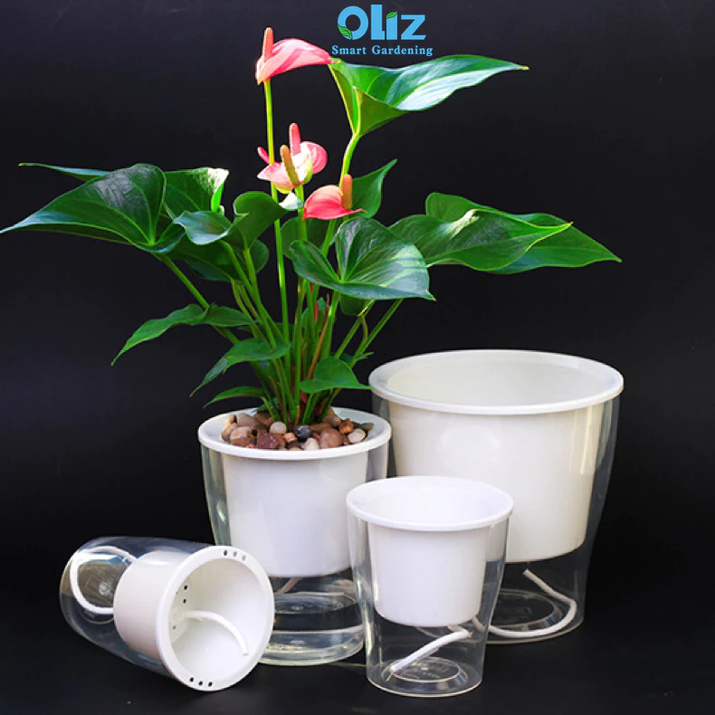 Chậu trồng cây bằng nhựa có khả năng chống ăn mòn và chống tác động của thời tiết khắc nghiệt, Chậu trồng cây bằng nhựa có khả năng chống ăn mòn và chống tác động của thời tiết khắc nghiệt,