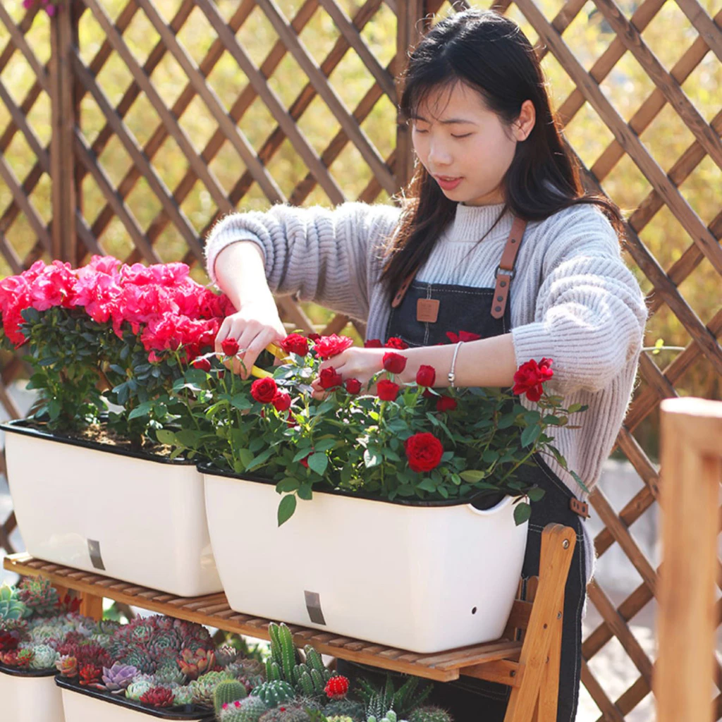 Đây là mẫu chậu trồng cây cảnh tự tưới thông minh làm đẹp ban công Đây là mẫu chậu trồng cây cảnh tự tưới thông minh làm đẹp ban công
