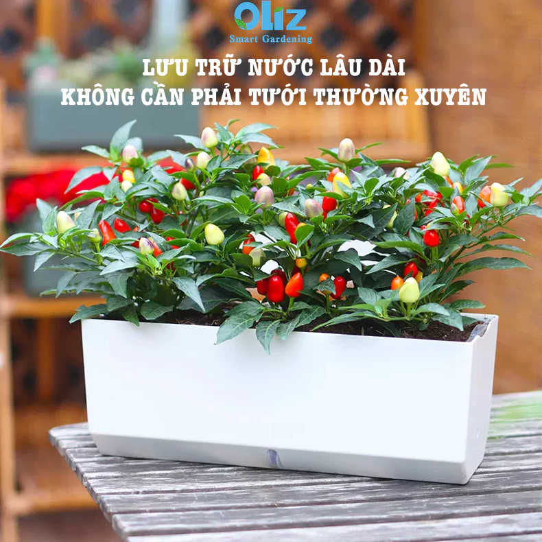 Đây là mẫu chậu trồng cây cao cấp treo ban công, giúp tối ưu không gian Đây là mẫu chậu trồng cây cao cấp treo ban công, giúp tối ưu không gian