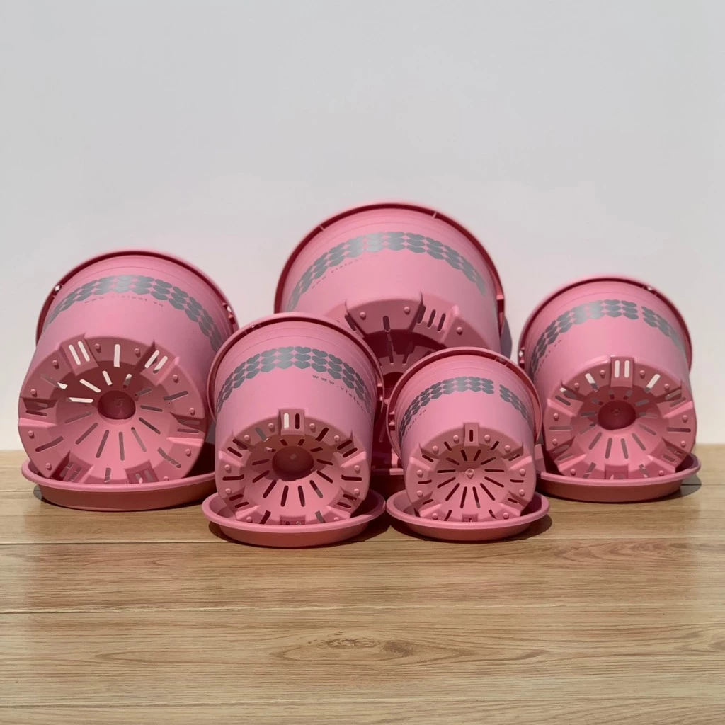 chậu trồng cây là phải có lỗ thoát nước giúp cây không bị úng nước chậu trồng cây là phải có lỗ thoát nước giúp cây không bị úng nước