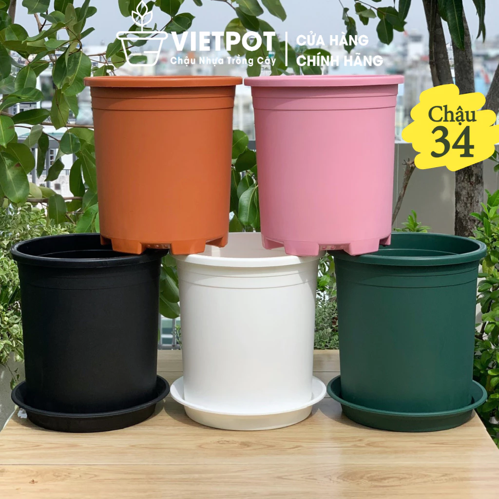 Tạo phong cách với chậu trồng cây nhiều màu sắc đẹp Tạo phong cách với chậu trồng cây nhiều màu sắc đẹp