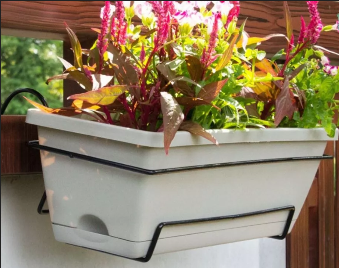 Bức tranh thiên nhiên hài hòa với chậu cây cảnh đẹp độc đáo lối vào Bức tranh thiên nhiên hài hòa với chậu cây cảnh đẹp độc đáo lối vào