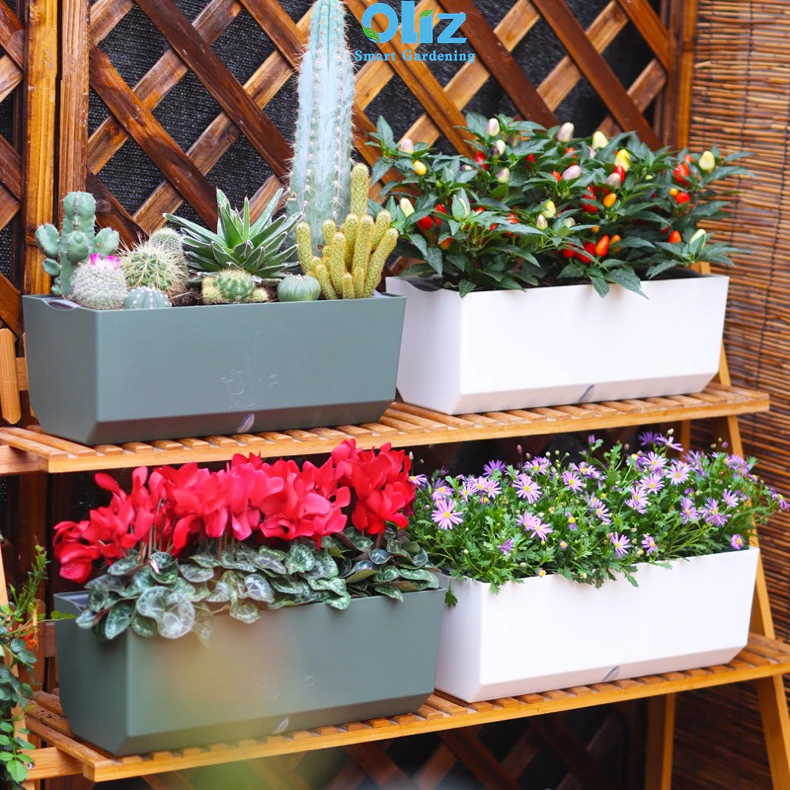 chậu trồng cây kiểng chữ nhật – sự kết hợp hoàn hảo giữa thiết kế đơn giản và tính tiện dụng, mang đến không gian xanh tươi mới cho mọi góc nhà! chậu trồng cây kiểng chữ nhật – sự kết hợp hoàn hảo giữa thiết kế đơn giản và tính tiện dụng, mang đến không gian xanh tươi mới cho mọi góc nhà!