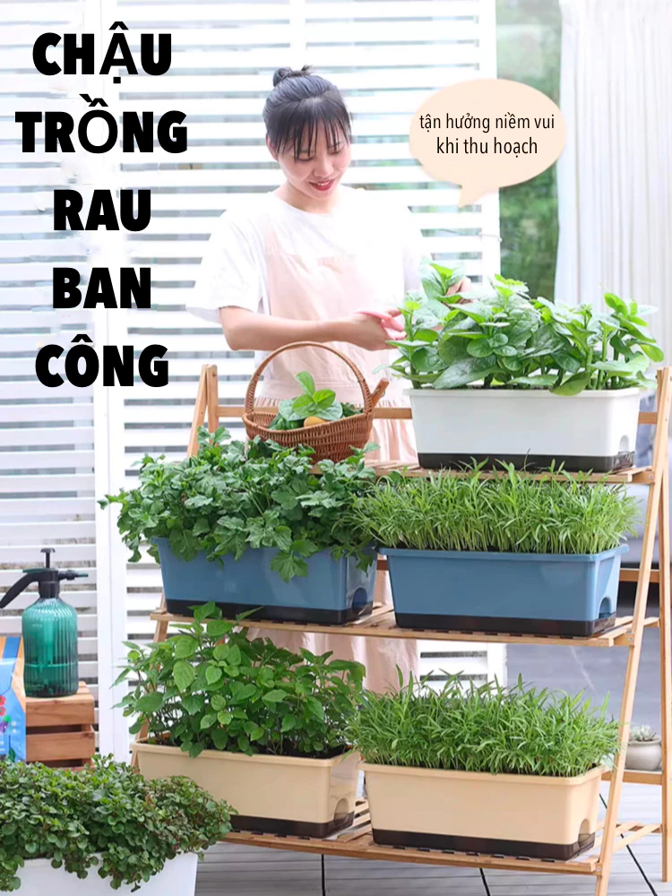 Chậu trồng cây nhựa bền đẹp, trồng cây, trồng rau Chậu trồng cây nhựa bền đẹp, trồng cây, trồng rau