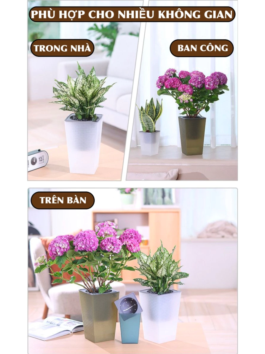 Chậu trồng cây kiểng tự tưới thông minh, tiện dụng Chậu trồng cây kiểng tự tưới thông minh, tiện dụng