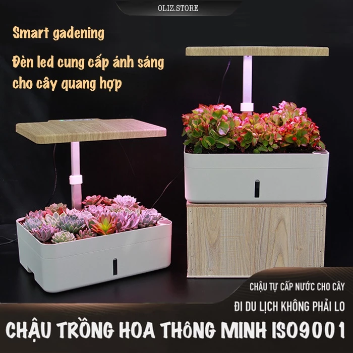 Chậu cây thông minh dễ dàng tháo lắp để vệ sinh Chậu cây thông minh dễ dàng tháo lắp để vệ sinh