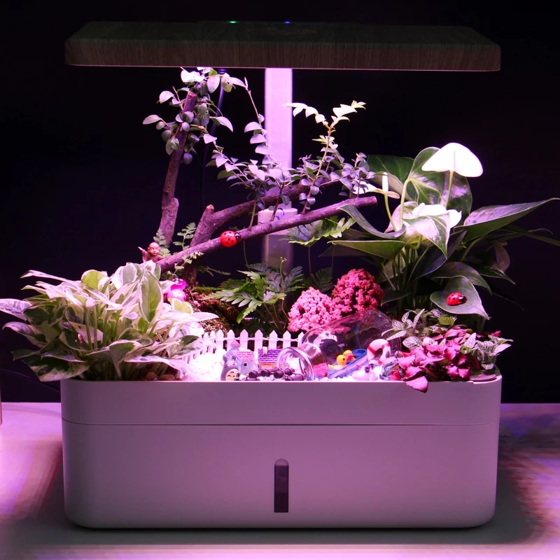 Chậu cây thông minh tưới nước, với dây cotton thẩm thấu ngược, giúp cung cấp đủ độ ẩm cho cây Chậu cây thông minh tưới nước, với dây cotton thẩm thấu ngược, giúp cung cấp đủ độ ẩm cho cây