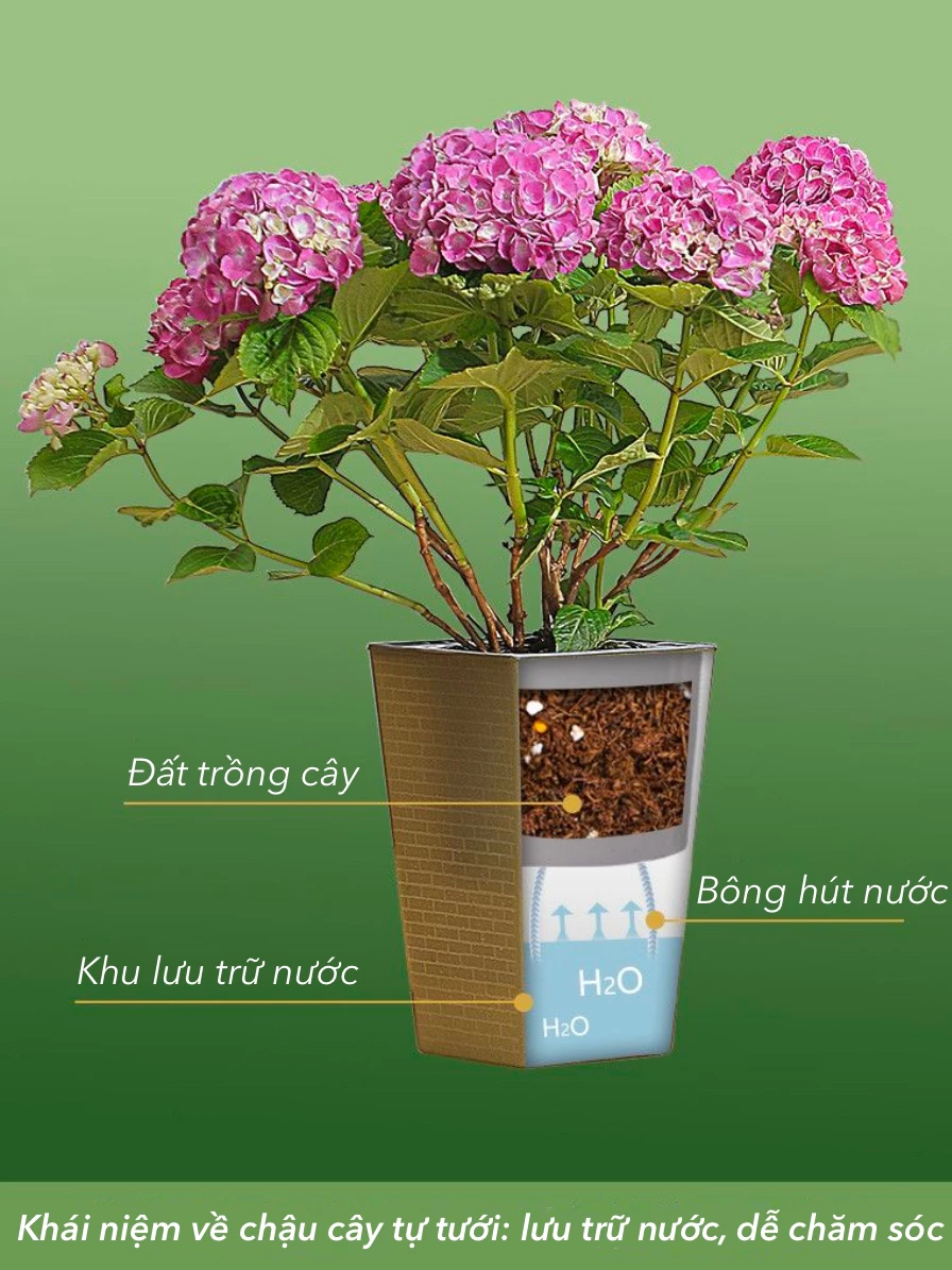 Bạn quá bận rộn để chăm sóc cây? Chậu trồng cây thông minh sẽ lo phần còn lại! Click để xem 'trợ lý' đắc lực này! Bạn quá bận rộn để chăm sóc cây? Chậu trồng cây thông minh sẽ lo phần còn lại! Click để xem 'trợ lý' đắc lực này!