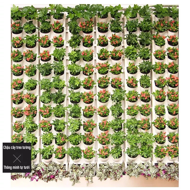 Chậu trồng cây treo tường tạo không gian mới lạ cho ngôi nhà bạn Chậu trồng cây treo tường tạo không gian mới lạ cho ngôi nhà bạn