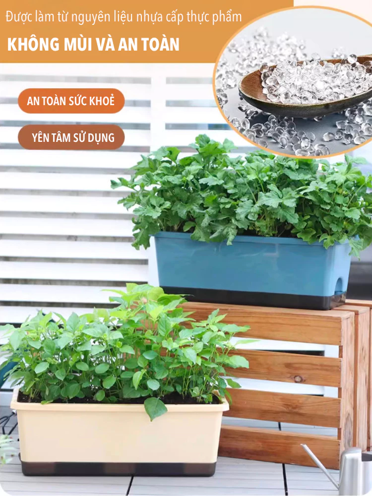 Chậu trồng rau bằng nhựa này được thiết kế với cấu trúc đơn giản, giúp bạn dễ dàng trồng rau Chậu trồng rau bằng nhựa này được thiết kế với cấu trúc đơn giản, giúp bạn dễ dàng trồng rau