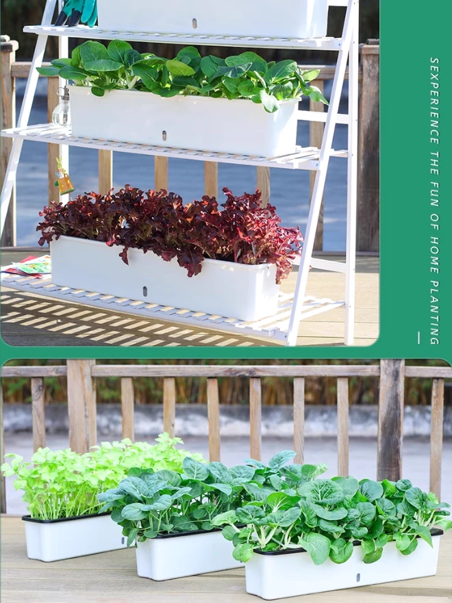 Chậu trồng rau trên sân thượng thông minh tự tưới giúp bạn chăm sóc cây nhàn hạ Chậu trồng rau trên sân thượng thông minh tự tưới giúp bạn chăm sóc cây nhàn hạ