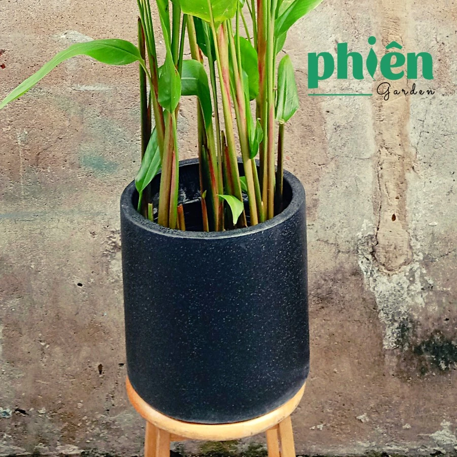 Chậu xi măng với thiết kế tối giản mang đến vẻ đẹp hiện đại và bền bỉ cho không gian sân vườn của bạn. Chậu xi măng với thiết kế tối giản mang đến vẻ đẹp hiện đại và bền bỉ cho không gian sân vườn của bạn.