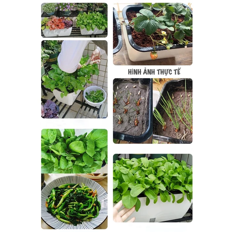 Mỗi loại cây phù hợp với loại đất khác nhau, nên thay đất khi chậu cảnh đã hết dinh dưỡng Mỗi loại cây phù hợp với loại đất khác nhau, nên thay đất khi chậu cảnh đã hết dinh dưỡng