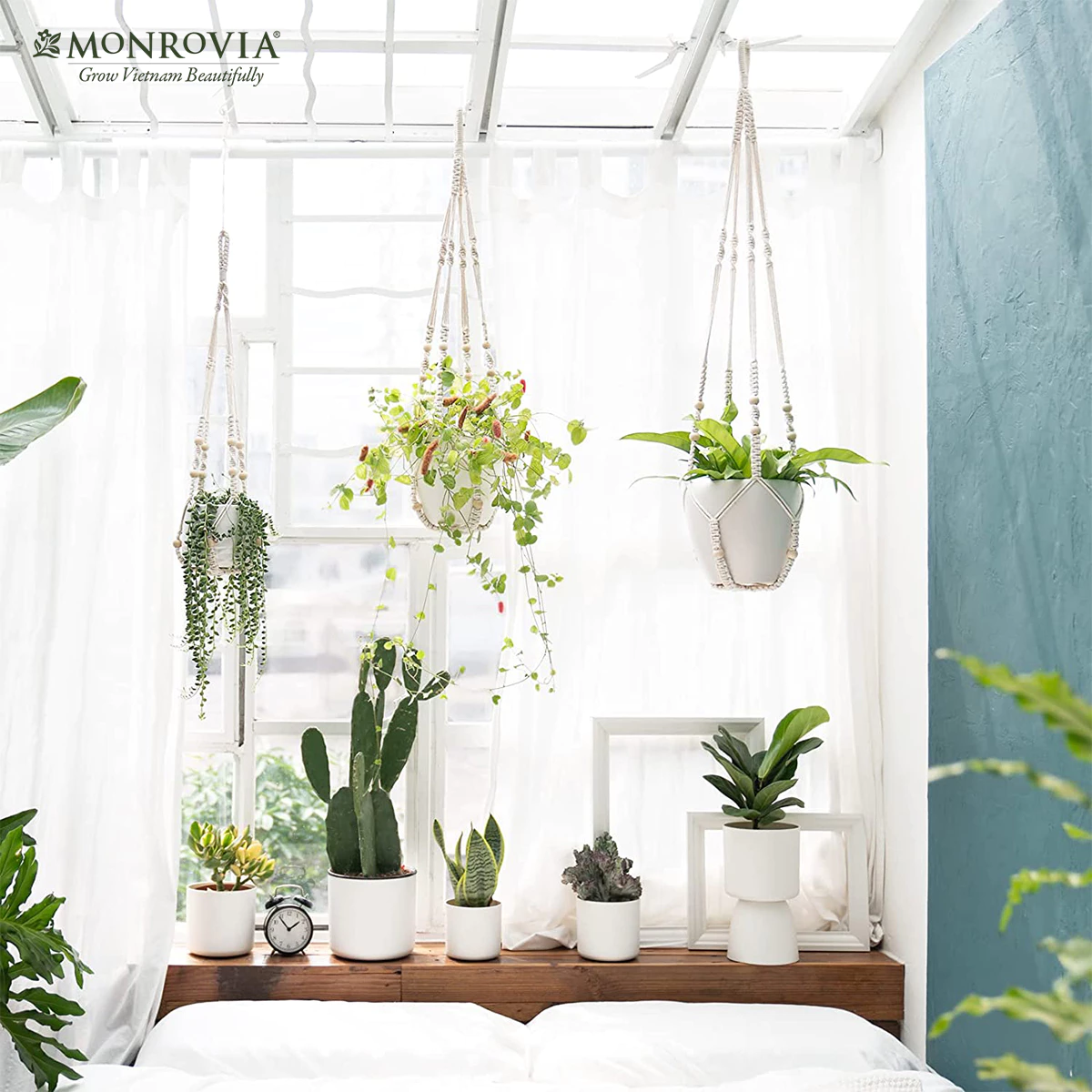 Dây treo chậu trồng cây Macrame Monrovia khiến không gian thêm lãng mạn Dây treo chậu trồng cây Macrame Monrovia khiến không gian thêm lãng mạn