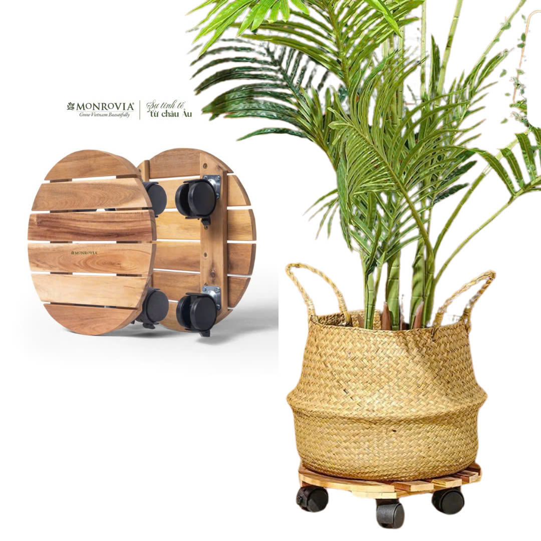 Đế chậu cây có bánh xe giúp việc di chuyển chậu cây trở nên dễ dàng và tiện lợi, hoàn hảo cho mọi không gian sống Đế chậu cây có bánh xe giúp việc di chuyển chậu cây trở nên dễ dàng và tiện lợi, hoàn hảo cho mọi không gian sống