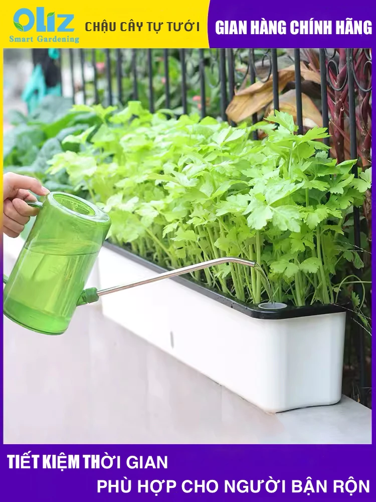 Chậu nhựa trồng cây hoặc rau sang trọng, giúp bạn dễ dàng trang trí cây xanh, mang lại không gian sống tươi mới và đầy sức sống! Chậu nhựa trồng cây hoặc rau sang trọng, giúp bạn dễ dàng trang trí cây xanh, mang lại không gian sống tươi mới và đầy sức sống!