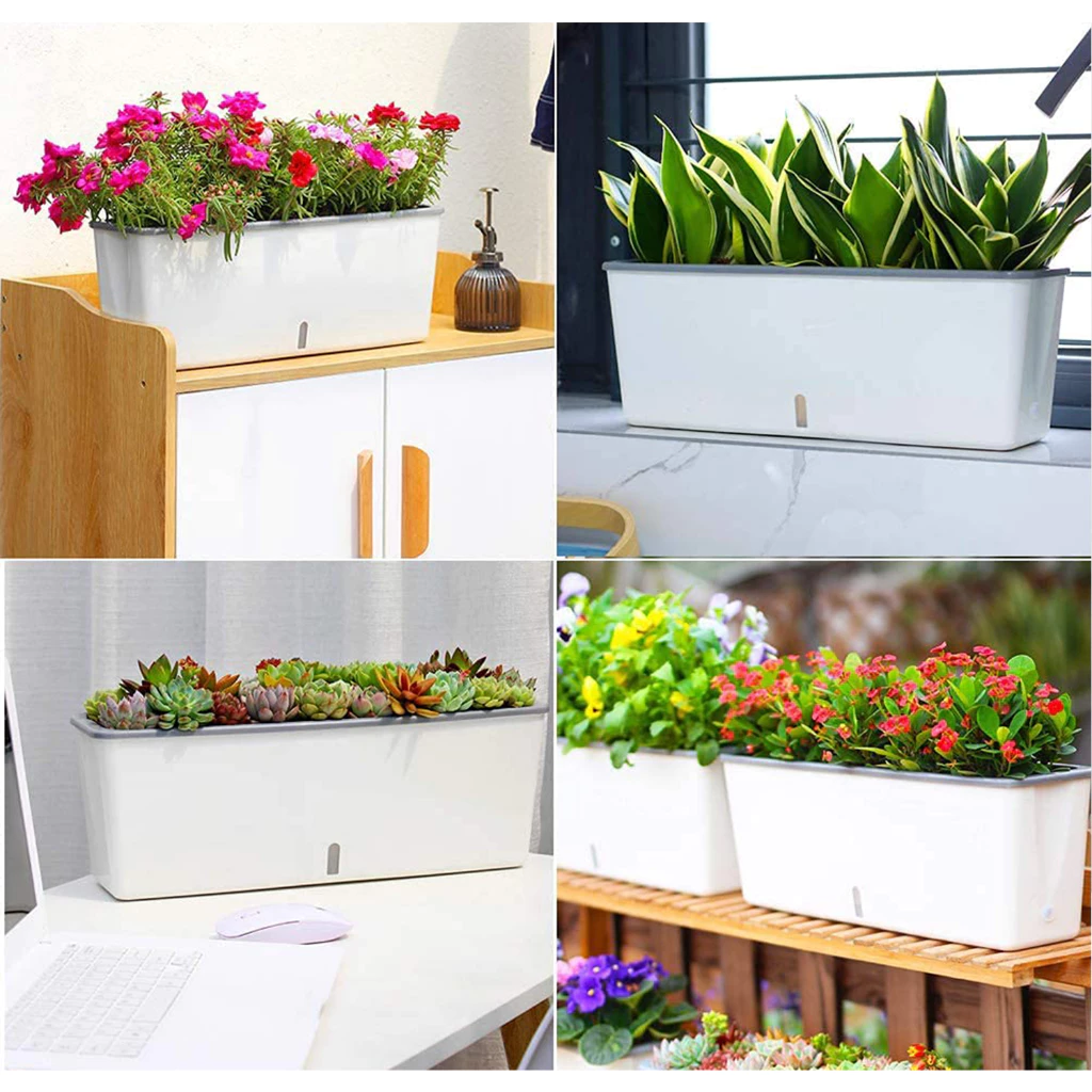 Biến không gian sống của bạn thành khu vườn xanh mát với Chậu Nhựa Trồng Cây cao cấp Monrovia– sự kết hợp hoàn hảo giữa phong cách và thiên nhiên Biến không gian sống của bạn thành khu vườn xanh mát với Chậu Nhựa Trồng Cây cao cấp Monrovia– sự kết hợp hoàn hảo giữa phong cách và thiên nhiên