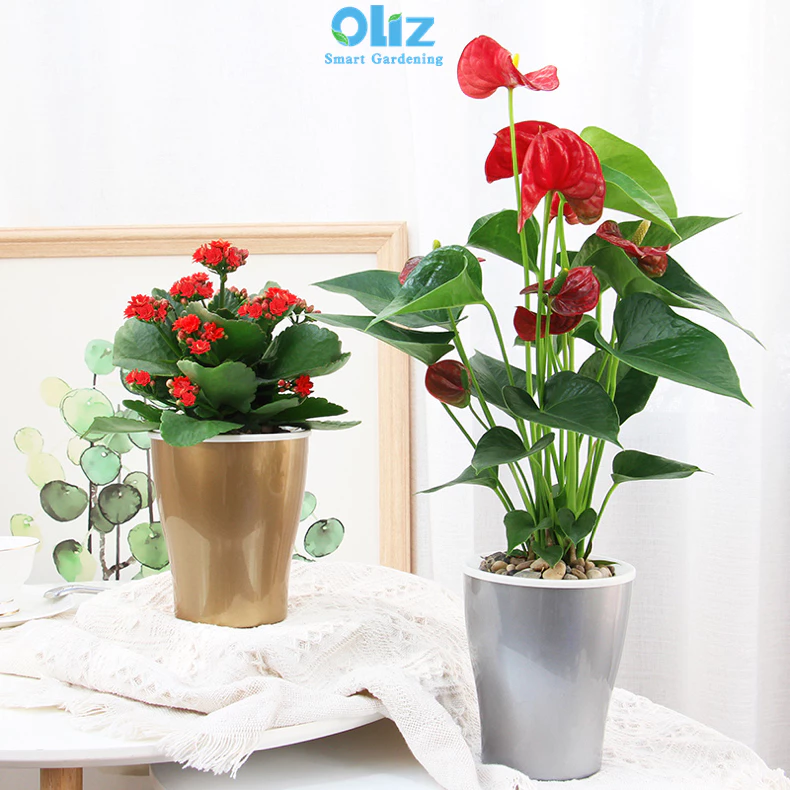 chậu nhựa cứng trồng cây cao cấp với lớp phủ bóng sang trọng chậu nhựa cứng trồng cây cao cấp với lớp phủ bóng sang trọng