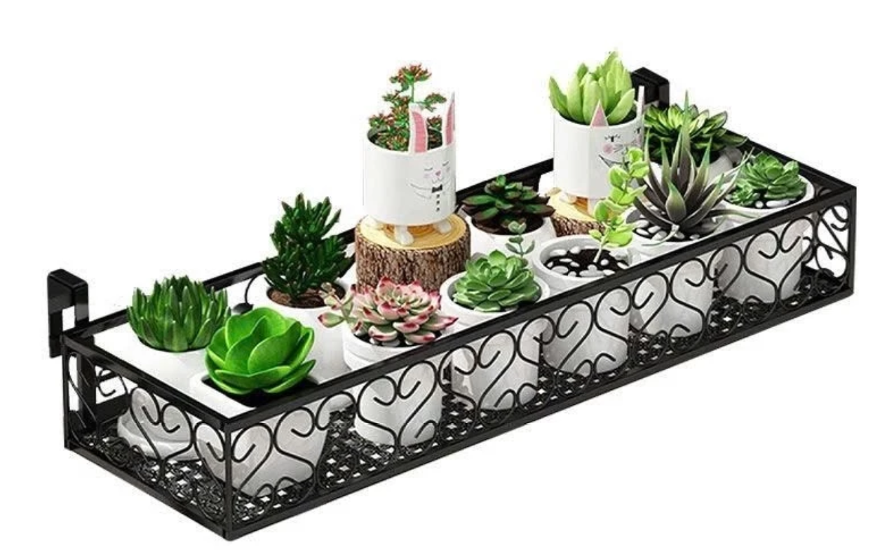 Tô điểm cho không gian sống thêm xanh mát với chậu hoa treo ban công Tô điểm cho không gian sống thêm xanh mát với chậu hoa treo ban công