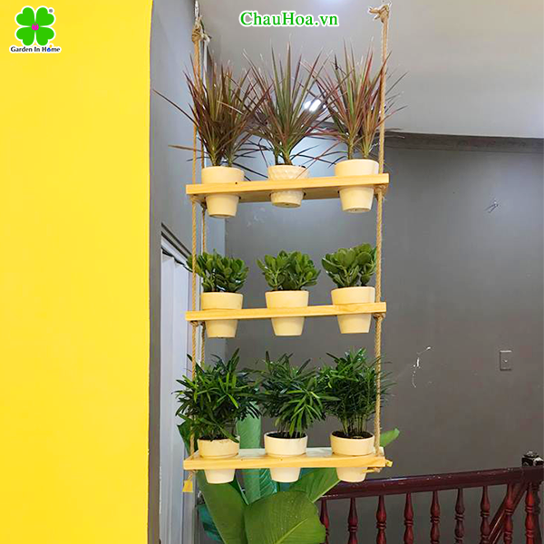 Chậu cảnh khung gỗ treo 3 tầng khiến không gian sang trọng Chậu cảnh khung gỗ treo 3 tầng khiến không gian sang trọng