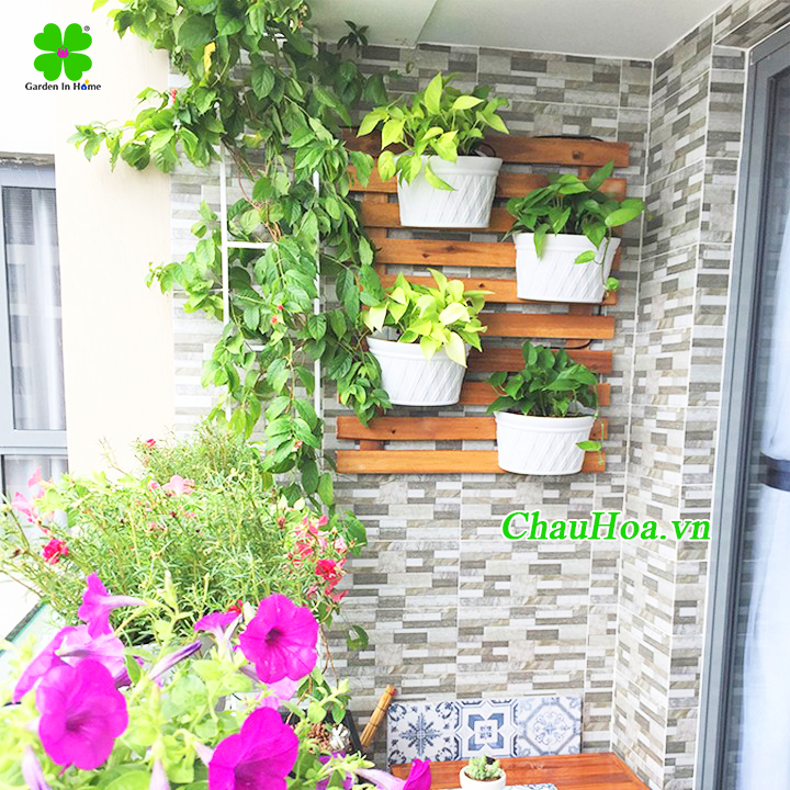 Chậu hoa nhựa ốp tường, treo tường, gắn tường đẹp Chậu hoa nhựa ốp tường, treo tường, gắn tường đẹp