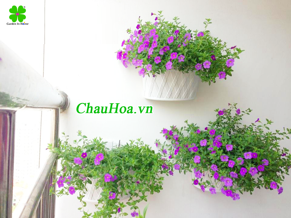 Chậu hoa ốp tường, treo tường bền đẹp Chậu hoa ốp tường, treo tường bền đẹp