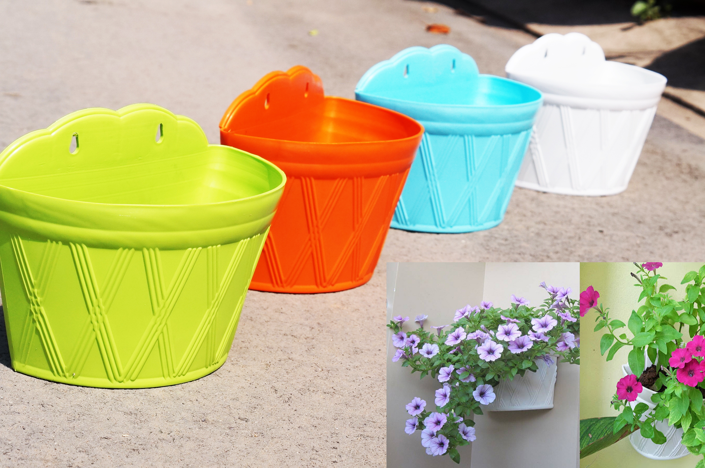 Chậu cảnh treo tường gân xéo được thiết kế tinh tế với màu sắc bắt mắt Chậu cảnh treo tường gân xéo được thiết kế tinh tế với màu sắc bắt mắt