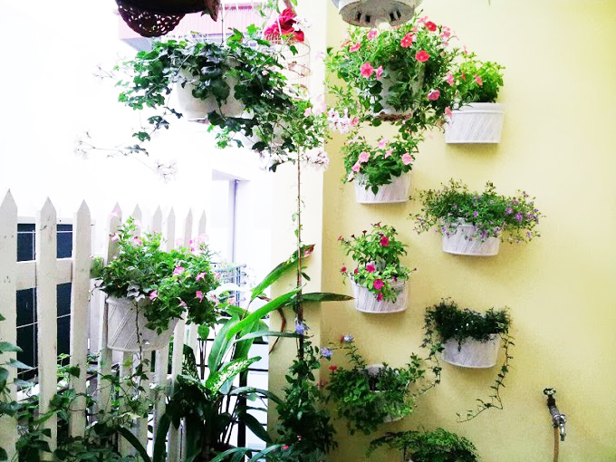 Khu vườn xinh xắn với chậu cảnh treo tường Khu vườn xinh xắn với chậu cảnh treo tường