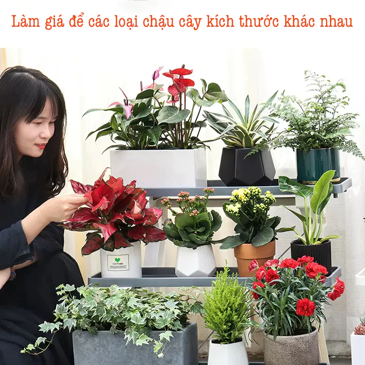 Chọn chậu cảnh màu nhẹ nhàng giúp phòng khách thêm phần thanh lịch. Chọn chậu cảnh màu nhẹ nhàng giúp phòng khách thêm phần thanh lịch.