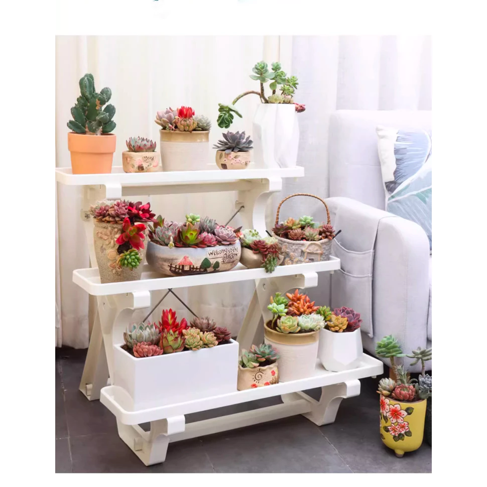 Tô điểm không gian sống với kệ đựng chậu cảnh đẹp sen đá Tô điểm không gian sống với kệ đựng chậu cảnh đẹp sen đá